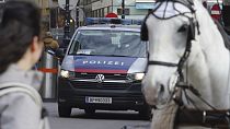 АРХИВ. Полиция Вены, иллюстративное фото