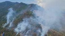 Un incendie de forêt dans le Sud de la Macédoine du Nord