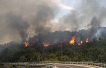 Erdőtűz az észak-macedóniai Negotino közelében