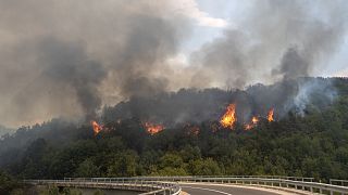 Erdőtűz az észak-macedóniai Negotino közelében