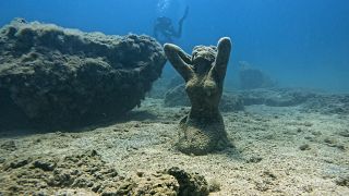 Alta temperatura da água ameaça a vida dos oceanos