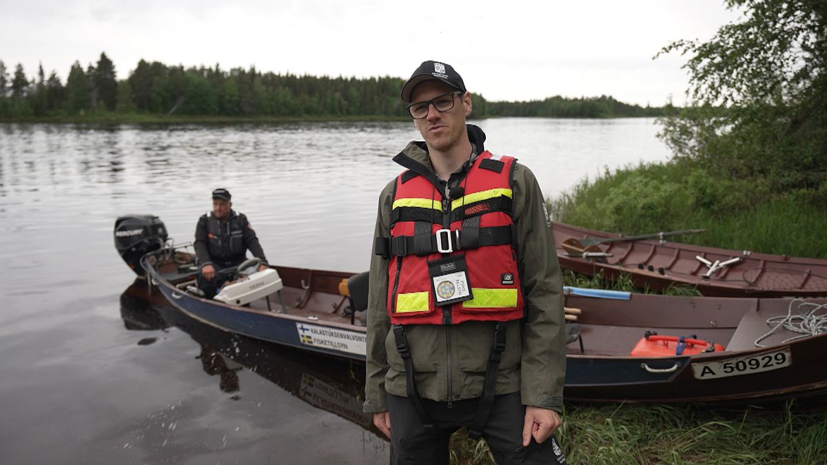 Closing the net: Finland and Sweden join forces to fight illegal salmon fishing