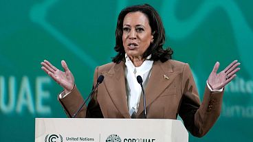 La vicepresidenta Kamala Harris habla en la Cumbre del Clima de la ONU COP28, el 2 de diciembre de 2023, en Dubai, Emiratos Árabes Unidos.
