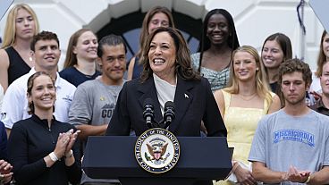 Vice President Kamala Harris speaks from the South Lawn of the White House in Washington