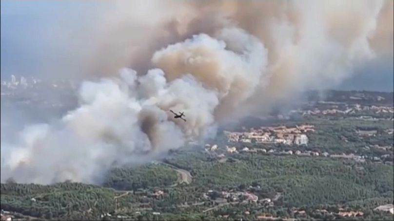 Planes drop water over wildfires in Portugal.