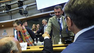 Newly elected chair Antonio Decaro takes his place at the head of the European Parliament's environment committee