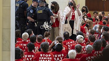 متظاهرون  ضد إسرائيل قبل يوم واحد من زيارة رئيس الوزراء الإسرائيلي نتنياهو في مبنى الكابيتول في واشنطن. (AP Photo/J. Scott Applewhite)