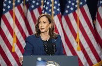 Vice President Kamala Harris campaigns for Presidential nominee on Tuesday, July 23, 2024. 