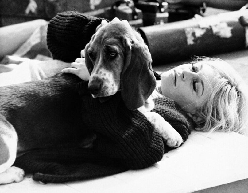 Fransız aktris ve hayvan hakları savunucusu Brigitte Bardot.