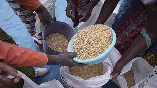 Six pays africains en grand danger de crise alimentaire, selon le PAM
