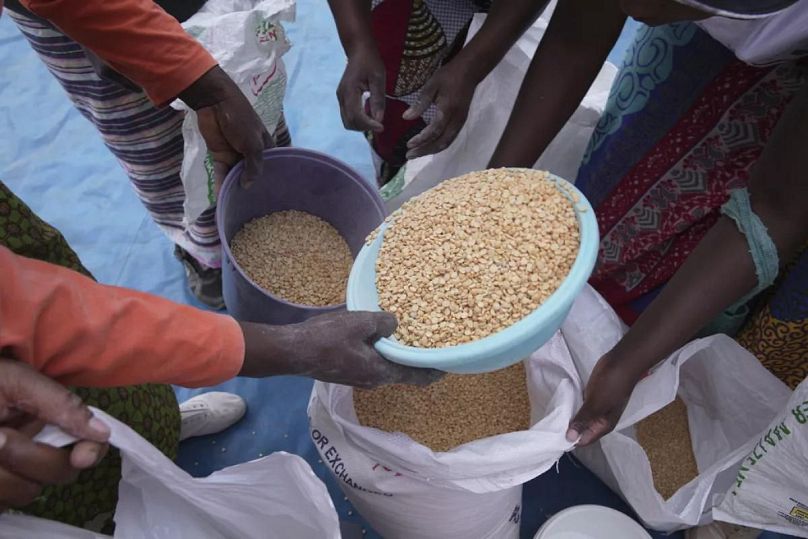 Güneybatı Zimbabwe'nin Mangwe bölgesinde gıda yardımı dağıtımı sırasında kadınlar bezelye paylaşıyor, 22 Mart 2024.