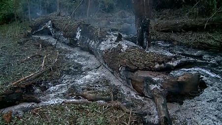 Le sol brûlé à Plauru après la chute des débris d'un drone russe