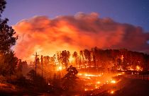 The Park Fire burns along Highway 32 in the Forest Ranch community of Butte County, California. 