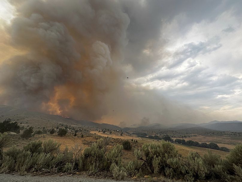 In this image provided by the U.S. Department of Agriculture Forest Service, smoke rises from a wildfire on Monday, 22 July, 2024, near Durkee. 