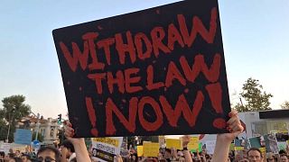 Ein Demonstrant hält ein Schild bei einer Demonstration in Istanbul gegen einen Gesetzesvorschlag zur Reduzierung der Zahl streunender Hunde hoch, 27. Juli 2024