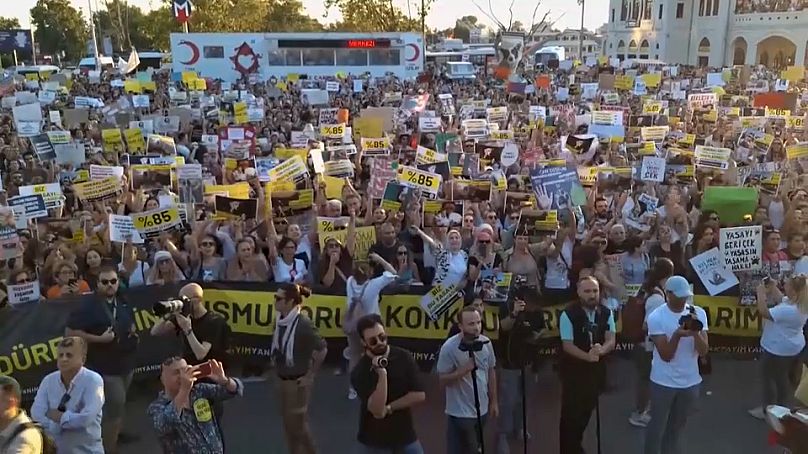 Protesta en Estambul contra un proyecto de ley que, según los críticos, podría conducir al sacrificio masivo de perros callejeros, 27 de julio de 2024.