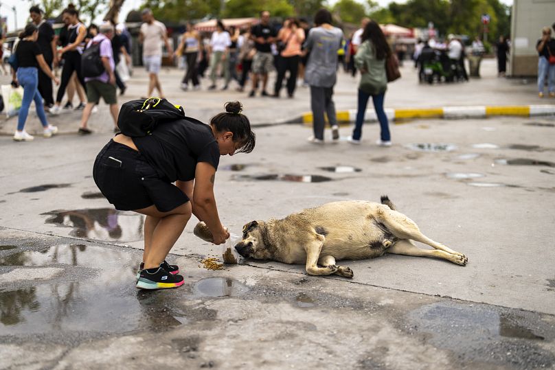 Una mujer alimenta a un perro callejero en el barrio de Kadikoy en Estambul, 6 de julio de 2024.