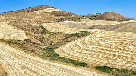 Drought is hitting Sicily's farmers the hardest.