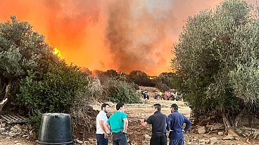 Πυκνοί καπνοί έχουν σκεπάσει την περιοχή Πετριές στην Εύβοια κατά την διάρκεια της φωτιάς που ξέσπασε