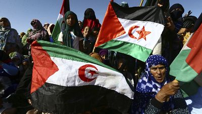 France shifts Western Sahara stance, seeking closer ties with Morocco