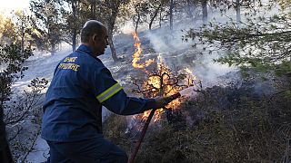 Un bombero griego lucha contra las llamas.