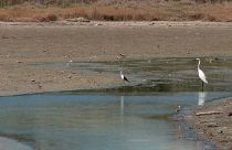 The Italian island of Sardinia has declared a state of emergency after a persistent drought