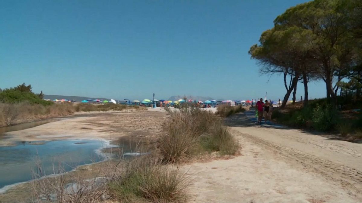 Die italienische Insel Sardinien hat aufgrund der anhaltenden Dürre den Notstand ausgerufen. 