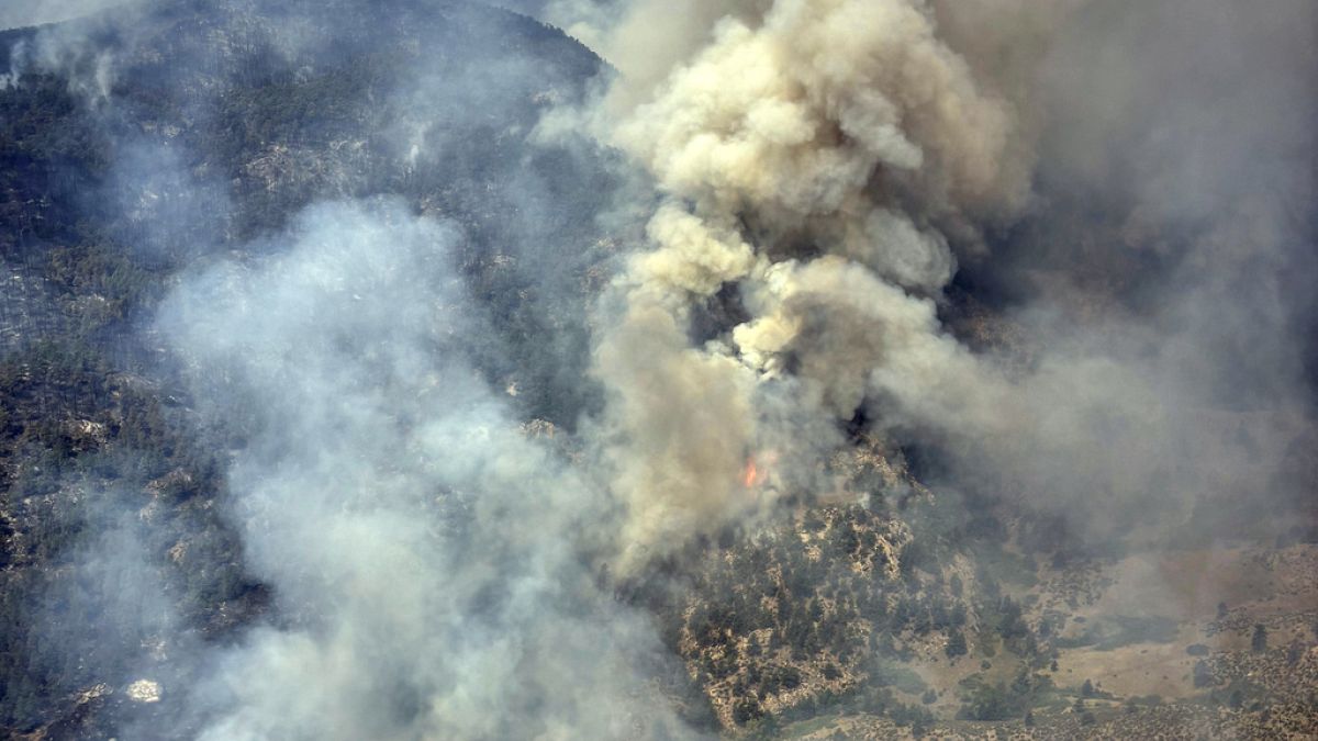 Plusieurs hélicoptères ont été dépêchés sur place pour larguer de l'eau sur les flammes.