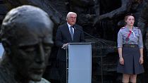 German President Frank-Walter Steinmeier