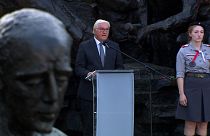 German President Frank-Walter Steinmeier