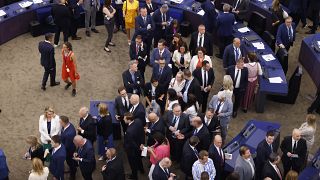 Members of European Parliament line up to vote in a secret paper ballot as they attend the opening plenary of the newly-elected European Parliament in Strasbourg