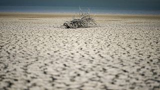 El lago Fanaco muestra el nivel extremadamente bajo de sus aguas en Castronovo di Sicilia, Sicilia central, Italia, el miércoles 17 de julio de 2024.