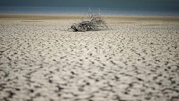 El lago Fanaco muestra el nivel extremadamente bajo de sus aguas en Castronovo di Sicilia, Sicilia central, Italia, el miércoles 17 de julio de 2024.