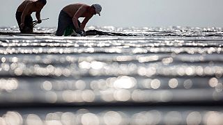 Objetivo do Governo é conseguir atrair anualmente 400.000 trabalhadores qualificados 