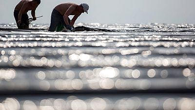 Lavoratori in Germania