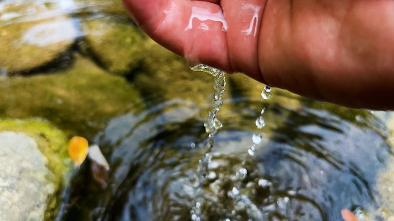 El agua de este arroyo emana de rocas kársticas situadas río arriba