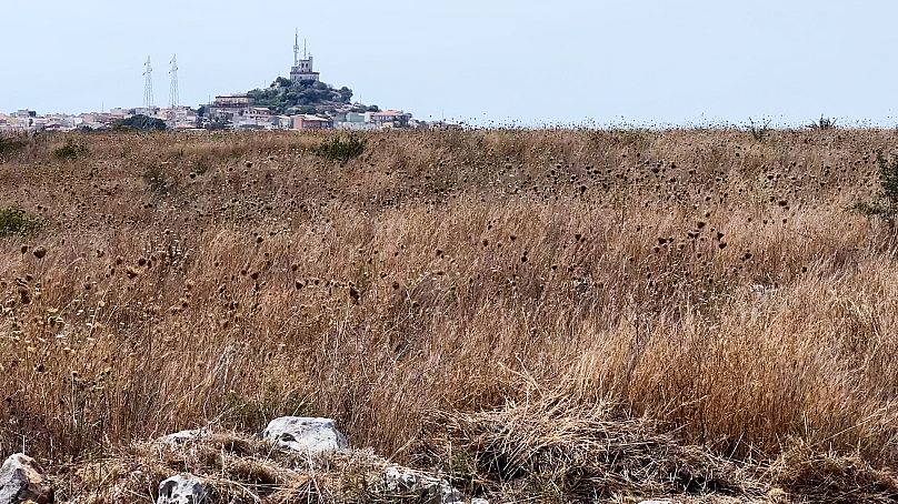 A Sicília está a sofrer uma das piores secas das últimas décadas