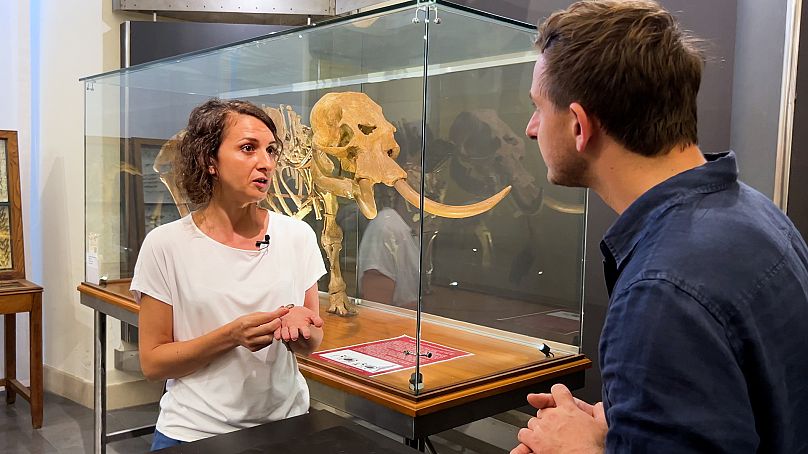 Emanuela Di Martino devant l'éléphant nain, au musée de Catane