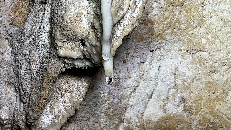 It has hardly rained this year, yet drops are falling from the stalactites