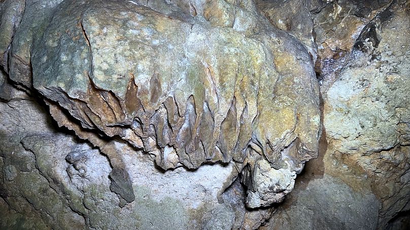 Alcune rocce della grotta sono in fase di fossilizzazione