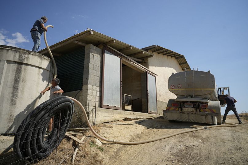 Water is brought by a tanker for the cattle on a farm, in Cammarata, central Sicily, Italy. 