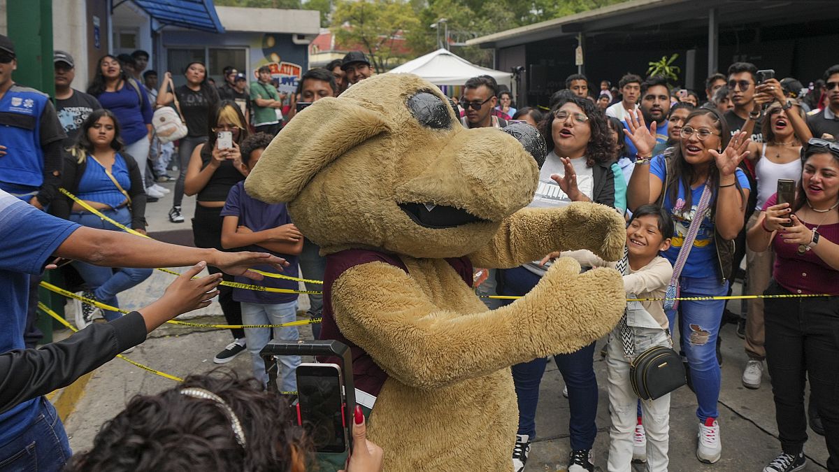 Ünlü "puppy luchador" lucha libre etkinliğinde hayranlarını selamladı, Meksika.