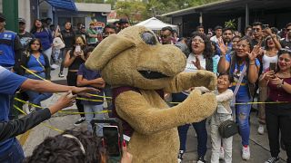 Ünlü "puppy luchador" lucha libre etkinliğinde hayranlarını selamladı, Meksika.