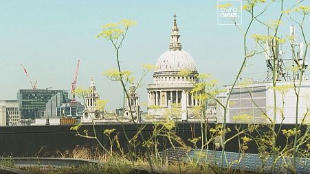 Plants and greenery cover the rooftop of Nomura PLC's European headquarters in London.