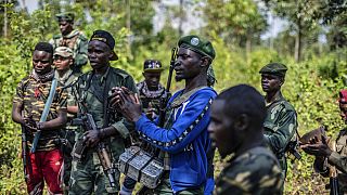 RDC : les Casques bleus de la MONUSCO vont appuyer les forces de la SADC