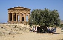 Visitantes admiran el antiguo templo de la Concordia en el Valle de los Templos, Agrigento, Sicilia, Italia, el jueves 18 de julio de 2024.