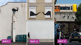 Banksy'nin Londra hayvanat bahçesi açıklandı: Sokak sanatçısının art arda üçüncü eseri ortaya çıktı 