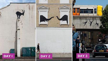 Banksy' London zoo explained: Third consecutive artwork from street artist emerges 