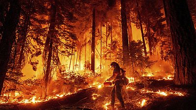 Un pompier utilise une torche pour brûler la végétation en essayant d'arrêter le Park Fire près de Mill Creek dans le comté de Tehama, Californie, le mercredi 7 août 2024. 