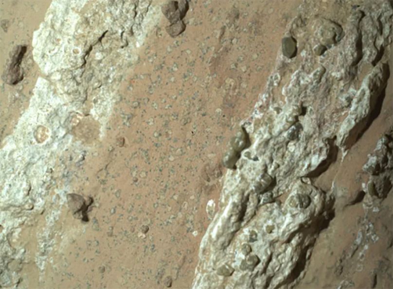 Der NASA-Rover Perseverance entdeckte im Juli 2024 „Leopardenflecken“ auf einem rötlichen Felsen mit dem Spitznamen „Cheyava Falls“ im Jezero-Krater auf dem Mars.